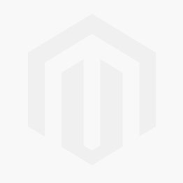 RYOBI OCS 1840 18v One Plus Cordless Chemical Garden Sprayer (Naked)