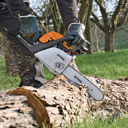 Chainsaws & Tree Care