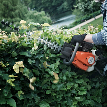 Hedge Trimmers